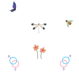 HA TAVATY, AKKOR KAMATY! ENNYI! 