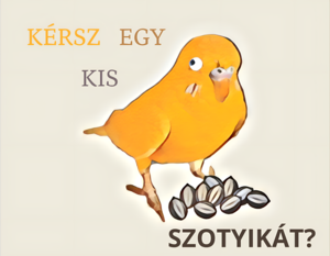 KÉRSZ EGY KIS SZOTYIKÁT?