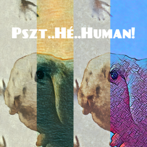 PSZT..HÉ..HUMAN!