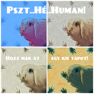 PSZT..HÉ..HUMAN!