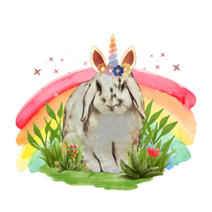 I'M A BUNNY CORN