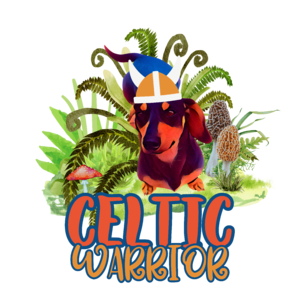 CELTIC WARRIOR