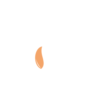 AZ ÉN SZÜLETÉSKÖVEM A KÁVÉ